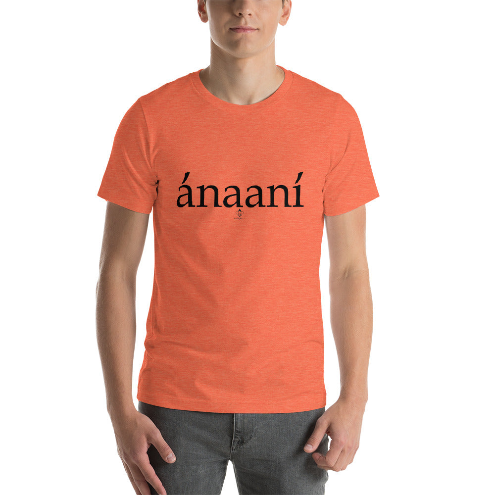 Ánaaní Tee