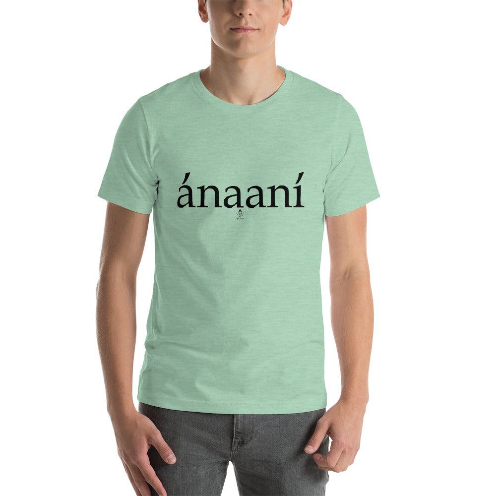 Ánaaní Tee