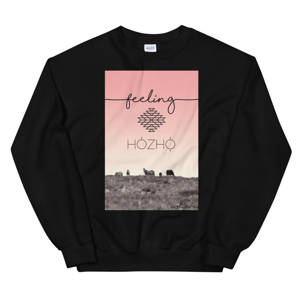 Feeling Hózhó Sweatshirt