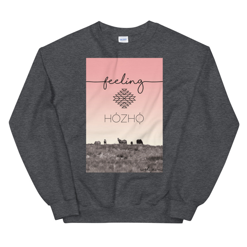 Feeling Hózhó Sweatshirt