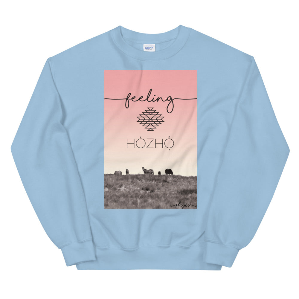 Feeling Hózhó Sweatshirt