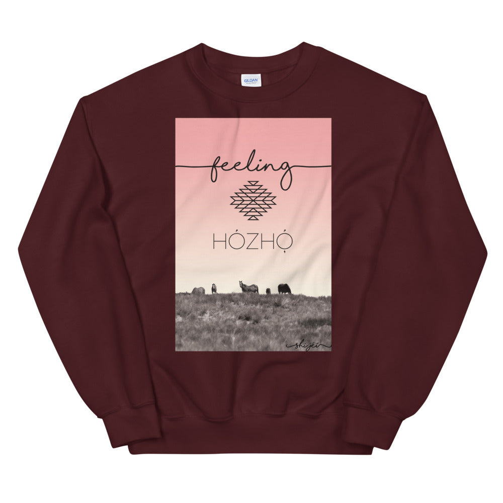 Feeling Hózhó Sweatshirt