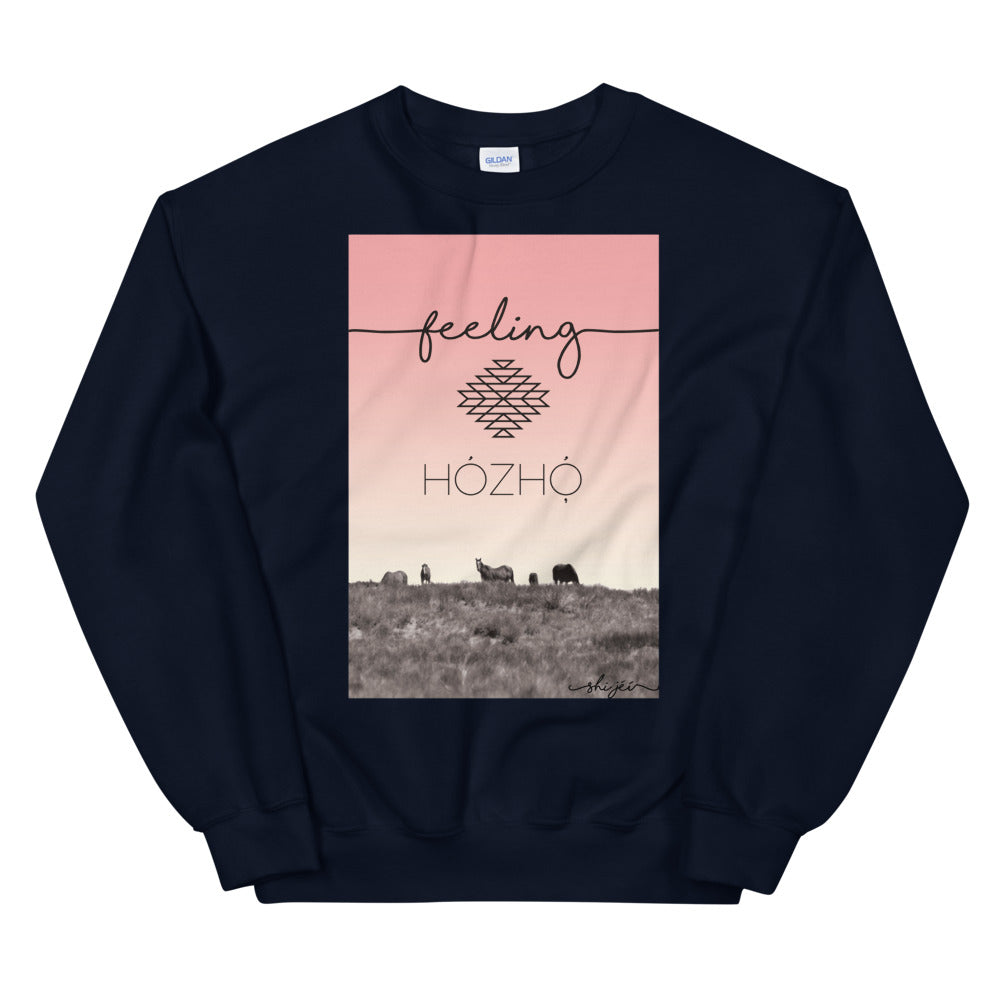 Feeling Hózhó Sweatshirt