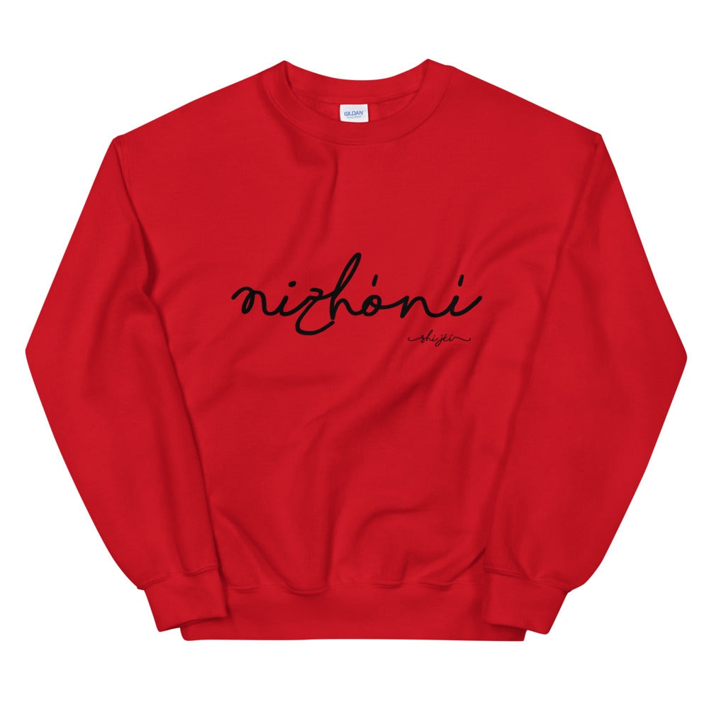 Nizhoni Sweatshirt