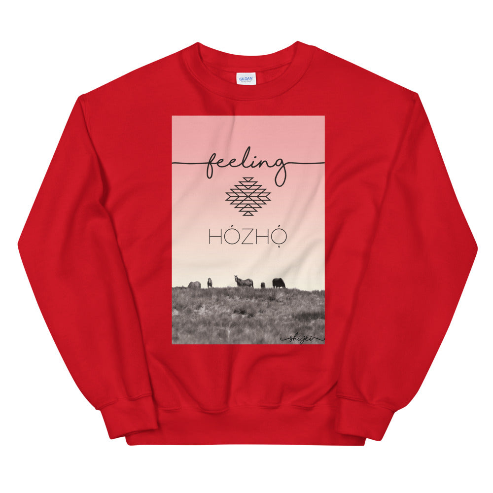 Feeling Hózhó Sweatshirt