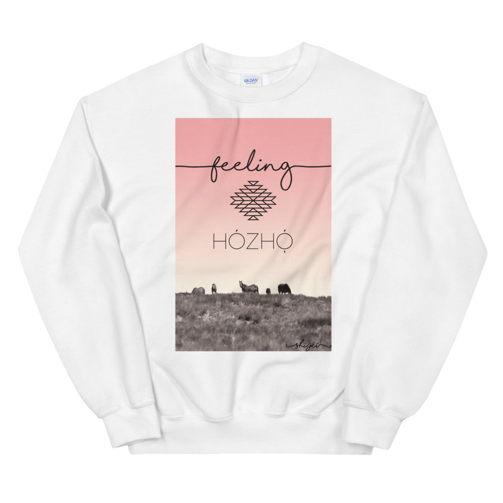 Feeling Hózhó Sweatshirt